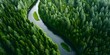 © Anastasiia - Aerial Minimalist View of Bears Foraging Near River in Lush Forest. Concept Wildlife Photography, Aerial View, Nature, Bears, Forest