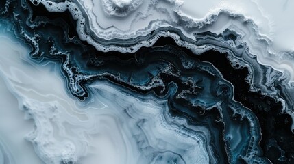Poster - This image presents a fluid abstract design in dark and light tones, with intricate details that create a striking visual contrast and depth in the composition.