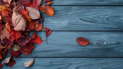 Red and orange autumn leaves are laid out on a smooth gray wooden surface, their vibrant colors and textures juxtaposed against the simplicity of the wood, creating a harmonious autumn scene.