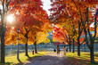 © Shawn.ccf - People are enjoying the red maples in Old Port of Montreal in autumn. Montreal, Quebec, Canada.