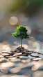 © Framefap - Financial Growth Symbolized by Tree Sprouting from Coins | Investment Concept Imagery