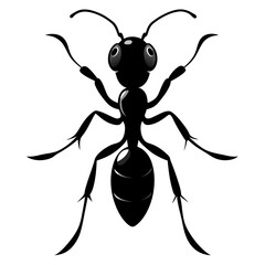 Wall Mural - Ant Vector Silhouette on White Background High-Quality Illustration