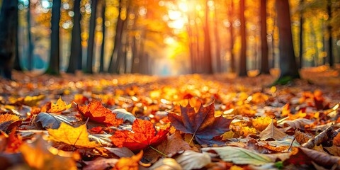 Sticker - Forest floor covered with colorful autumn leaves, with selective focus, autumn, fall, foliage, forest, nature, ground, dry, season