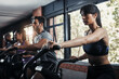 © peopleimages.com - Woman, exercise bike and cycling in gym for fitness or leg strength, cardio and muscle endurance for agility training. Recreation center, people and machine for cardiovascular, wellness and power.