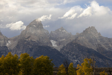 Wall Mural - Scenic Autumn Landscape in Grand Teton National Park Wyoming