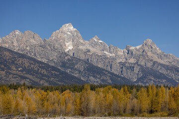 Sticker - Scenic Autumn Landscape in Grand Teton National Park Wyoming