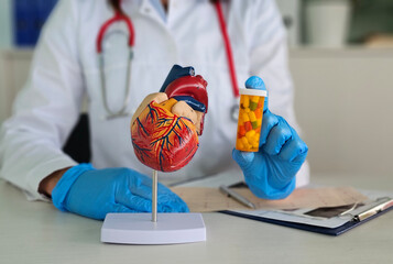 Wall Mural - Doctor Holding Heart Model and Medication Bottle