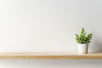 Minimalist wooden shelf with small green potted plant against white background, creating a serene and stylish home decor atmosphere.