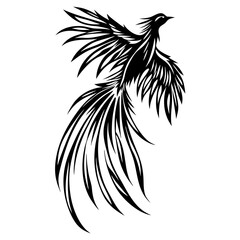 Black silhouette phoenix bird isolated white background (10)