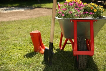 Sticker - Wheelbarrow with different beautiful flowers, shovel and rubber boots outdoors, space for text