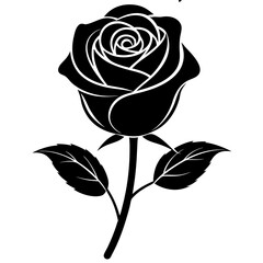 Wall Mural - black rose isolated on white