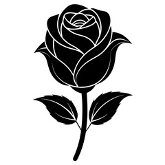 Wall Mural - black rose isolated on white