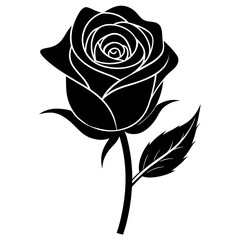 Wall Mural - black rose isolated on white