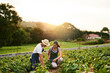 © Hira/peopleimages.com - Nature, couple and farming together, outdoor and love for sustainability, woman and man in morning. Working, crops and growth of vegetable for harvest, teamwork and farmer for agriculture in USA