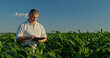 © StockMediaSeller - Farmer using a tablet, standing in the distance among green corn
