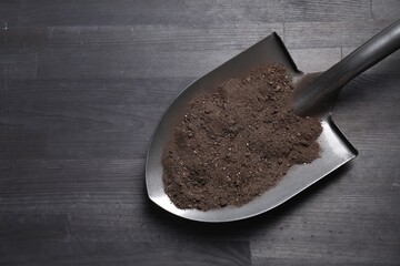 Wall Mural - Metal shovel with soil on black wooden table, top view. Space for text