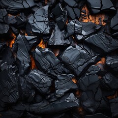 Wall Mural - a close up view of black coal on a black background