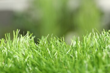 Wall Mural - Green artificial grass against blurred background, closeup