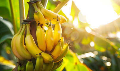 Natural fresh fruit for health