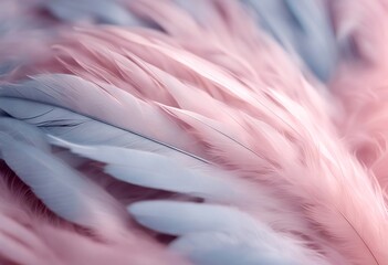 Wall Mural - background light trends feather blue angel texture feather pattern pink background blue color art texture animal abstract light