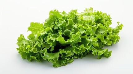 Wall Mural - A close-up of a bunch of fresh green lettuce leaves on a white background.