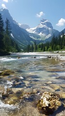 Wall Mural - stones in a mountain river in summer