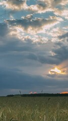 Canvas Print - Summer Sunset Evening Above Countryside Rural Wheat Field Landscape. Scenic Dramatic Sky With Rain Clouds On Horizon