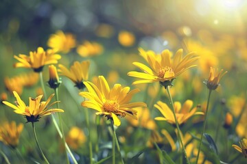 Wall Mural - Peaceful Meadow. Yellow Flower Blooming in the Morning Sunlight