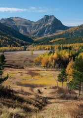 Canvas Print - Autumn Foliage in Mountain Valley