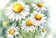 © wafi - watercolor leaves white vibrant card flowers print square floral background green natural blooming chamomile