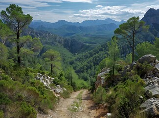 Wall Mural - The rugged mountain landscape of Mallorca, Spain, with a dirt road winding through the foreground