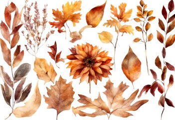 Wall Mural - arrangement rustic clip olated illustration botanical background white dried elements bouquet decoration art flowers floral set autumn corner fall thanksgiving beautiful watercolor leaves flower