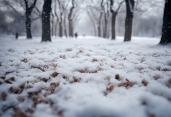 Wall Mural - landscape snow winter alley park tree scenery snowstorm nature city