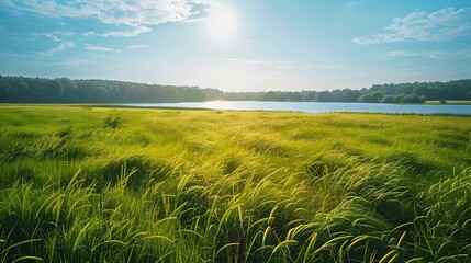 Wall Mural - A bluegrass field with a lake image