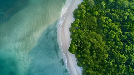 Poster - Beach with nature trails leading through mangrove img