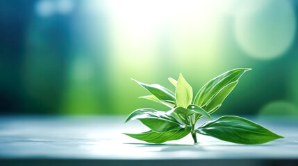 Wall Mural - A leafy green plant with a stem and a leaf.