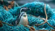 © Unic - 'concept plastic pollution trapped marine net conservation penguin nature animal climate fish protection aquatic beach bird contamination damage danger debris dirty discarded earth ecology