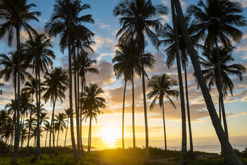 Sticker - Tropical beach