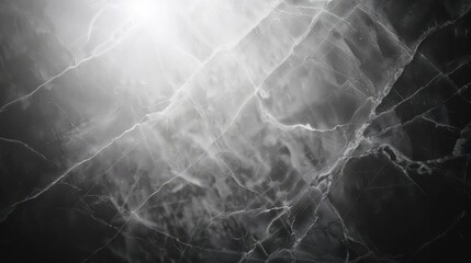 Wall Mural - A black and white photo of a marble wall with a spider web pattern