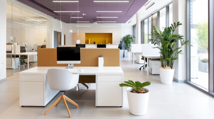 Potted plant at modern office with purple shade for comfortable work