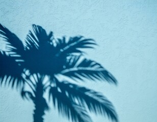 Poster - Palm Tree Casting Shadow on Blue Wall 