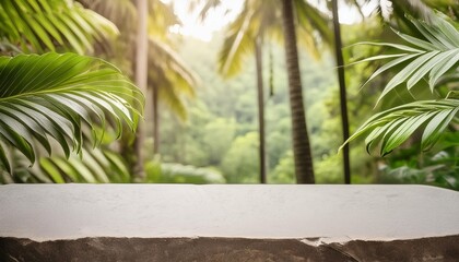 Wall Mural - stone table top in jungle forest with blur palm tree natural tropical scene for organic product placement podium background