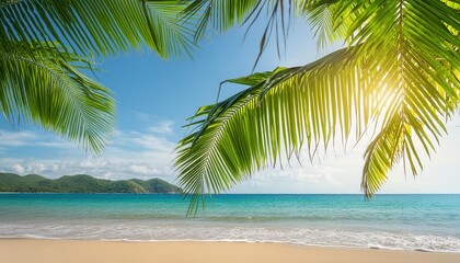 Wall Mural - sunny tropical beach the leaves of palm trees tropical beach summer vacation and tropical beach background concept