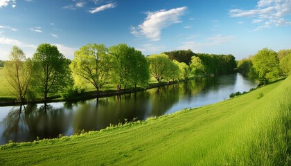 Wall Mural - landscape with the river and trees