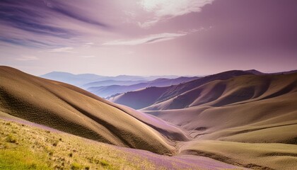 Wall Mural - abstract purple background with colorful waves and gradient colors blurred dark blue and violet background