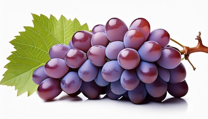 Wall Mural - ripe bunch of grapes on a branch with a leaf no background