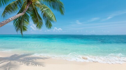 Poster - Portray picturesque beach scenes with nature plates, showcasing tropical palms, gentle waves, and the serene beauty of coastal settings. Clean and Clear Color, Realistic Photo, , Minimalism,