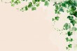 © justjupiter - Elegant background with green ivy leaves on a light beige backdrop, perfect for invitations or nature-related designs.