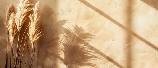 Canvas Print - Beige background with abstract light and shadow from the window