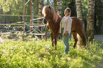 Wall Mural - Woman with the Icelandig horse beside the pasture during the sunset